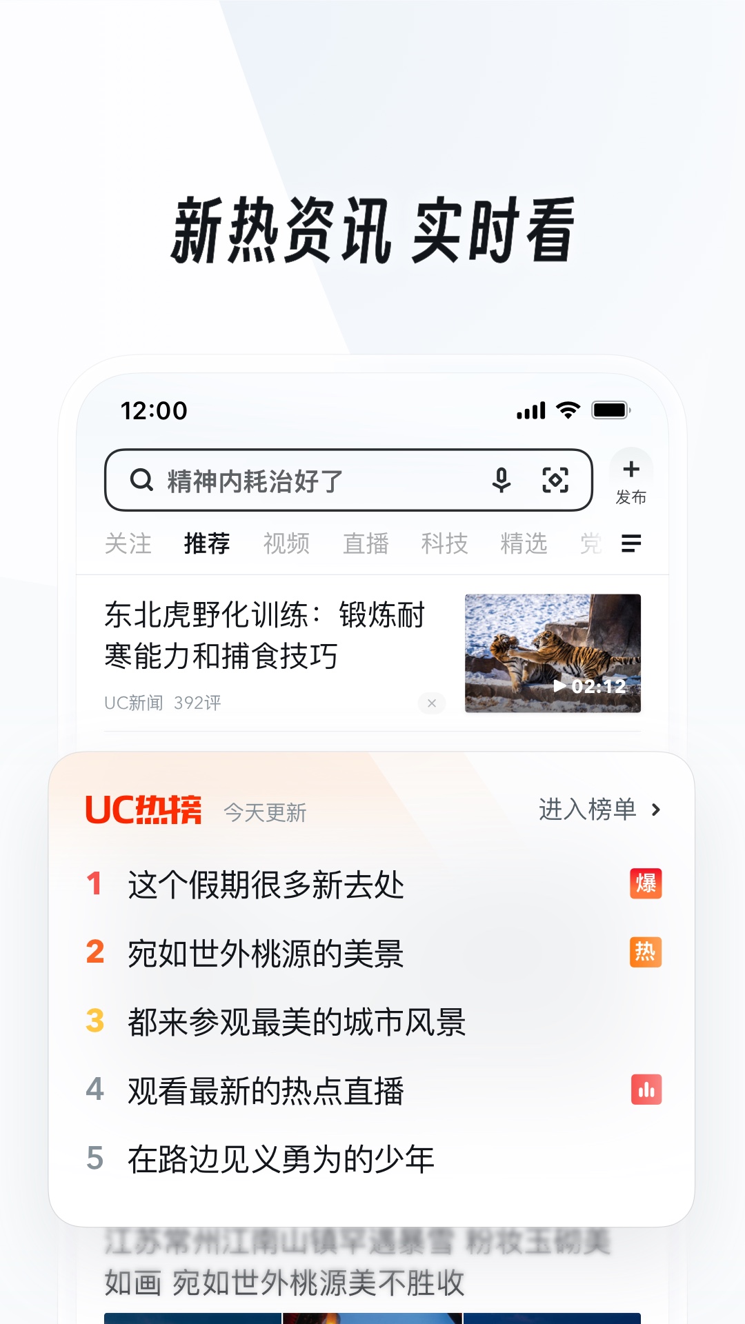 适合做伴侣犬的犬种截图